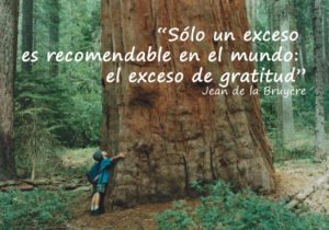 gracias_gratitud