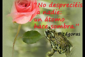 no desprecies a nadie