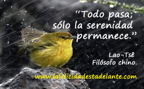 pajaro lluvia frase