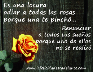 rosa frase