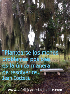 ARBOL frase