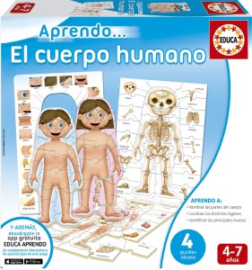 aprendo el cuerpo humano